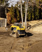 Forst- und Gartenpflege Dyck Bild 2