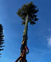 MD Saintrapt image 6