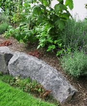 Garten- und Landschaftsbau Martin Wagner Bild 15