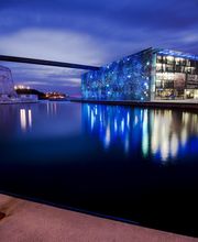 Julien AYOUN image 4