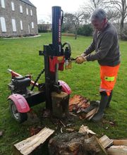 Renet Pierre image 8