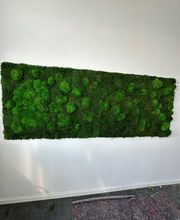 K&S Farbkonzepte - Maler- & Lackierarbeiten Bild 10