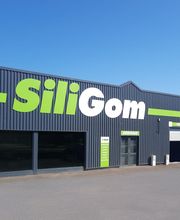 SILIGOM - ANAIS PNEU image 1