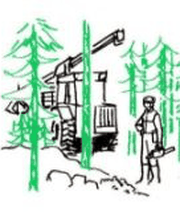 Sarl Pierrot Elagage image 4