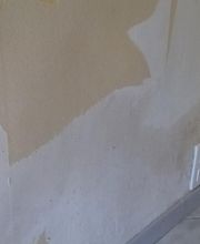 Bodey Olivier image 5