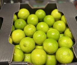Les Frutamines image 11