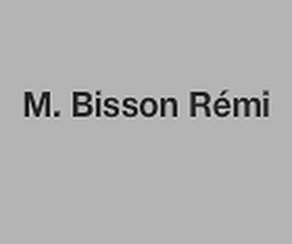 M. Bisson Rémi image 2