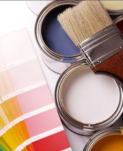 Nicolas Thierry image 2