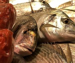 Poissonnerie Libournaise image 6