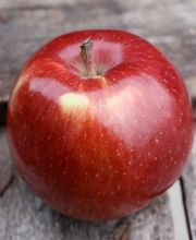 Sunrise Orchards image 2