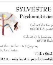 Sylvestre Mailys image 2