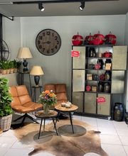 Martin's Blumenwelt Bild 8