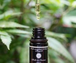 Huile 20% CBD Full Spectrum L'Herbe en Provence