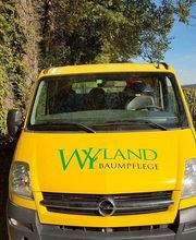 Wyland Baumpflege Bild 2