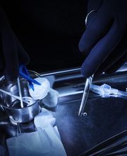 Mario Piercing Experience l Next 2 Tattoo Bild 7