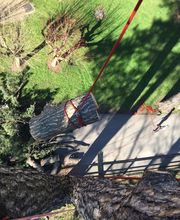 D'arbre En Arbre image 7