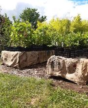 Baumschule Goßner Bild 4