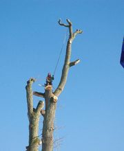 Atelier Champenois Du Paysage image 4