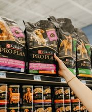 Petsense by Tractor Supply image 2