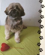 Chez Miss Perle image 10