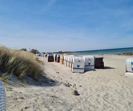 Ferienwohnung Strandläufer Bild 11