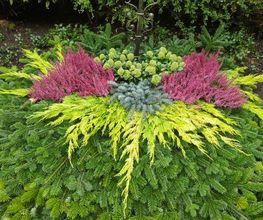 MM Gartenpflege GmbH Bild 9