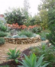 Distinctive Lawn & Landscape image 2