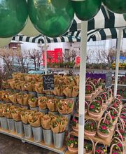 BLUME2000 München Pasing Bild 7