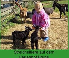 Ferienhof Bruns Bild 4