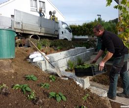 WENK Garten Bild 11