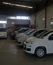 Gallery Cliente