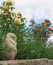 Gartengestaltung Patrick Müller GmbH Bild 5