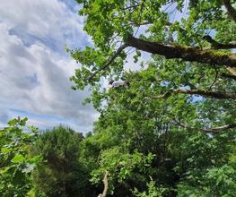 A'rborescence & Paysage Sàrl Bild 1