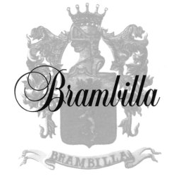 Oreficeria Orologeria Brambilla logo