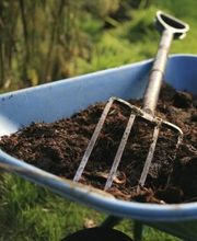 Baumpflege Dreyer Althoff Bild 3