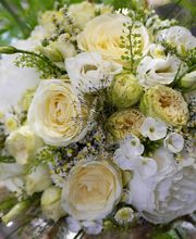 Floème Fleurs image 7