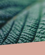 Feel Good Finance
U spreekt van Feel Good Finance als u weet dat het goed zit met uw financiën én de financieel dienstverlener. Oprecht betrokken bij mens, milieu en maatschappij. Financieel Zeker ís die dienstverlener. We leggen u uit hoe wij het zien.