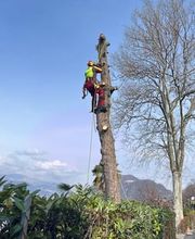 Carlo Bagutti Giardiniere Bild 12