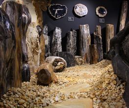 Welt der Kristalle Museum & Shop Bild 5