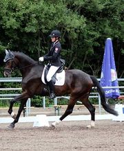 Reitschule Hess Bild 4