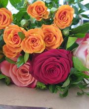 Pougary Marie image 3