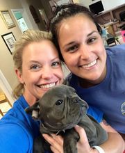 Veterinary Medical Center image 17