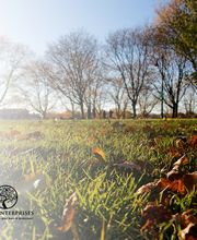 Lewis Enterprises LLC image 9