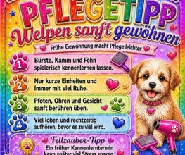 Fellzauber Bild 5