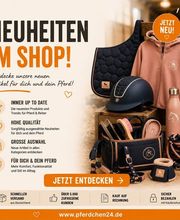 Pferdchen24 Bild 5