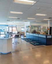 DriveTime Used Cars image 6