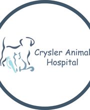 Crysler Animal Hospital image 4