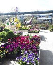 Bricomarché Montgiscard image 6