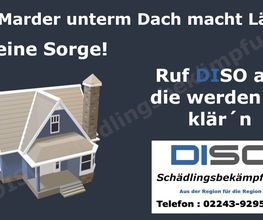 DISO Schädlingsbekämpfung Bild 4