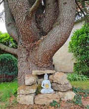 JS Grill - Médecine chinoise et vietnamienne image 7